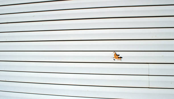 Best Fascia and Soffit Installation  in Lincoln, CA